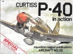 Curtiss P-40 in action.jpg