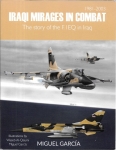 Iraqi Mirages in combat.jpg